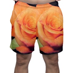 Color Of Desire Men s Shorts