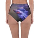 Betta Fish Photo And Wallpaper Cute Betta Fish Pictures Reversible High-Waist Bikini Bottoms View4