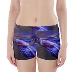 Betta Fish Photo And Wallpaper Cute Betta Fish Pictures Boyleg Bikini Wrap Bottoms by StoreofSuccess