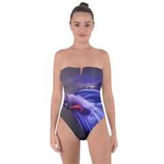 Betta Fish Photo And Wallpaper Cute Betta Fish Pictures Tie Back One Piece Swimsuit by StoreofSuccess