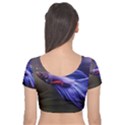 Betta Fish Photo And Wallpaper Cute Betta Fish Pictures Velvet Short Sleeve Crop Top  View2