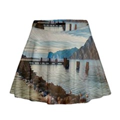 Ducks On Gardasee Mini Flare Skirt by ConteMonfrey