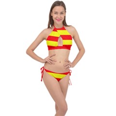 Aust Agder Flag Cross Front Halter Bikini Set by tony4urban