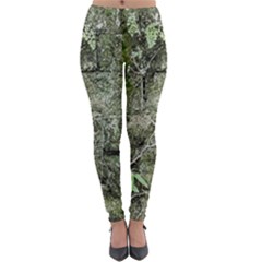 Old Stone Exterior Wall With Moss Lightweight Velour Leggings by dflcprintsclothing