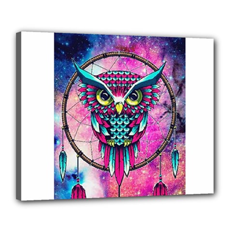 Owl Dreamcatcher Canvas 20  X 16  (stretched)