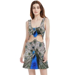 Peacock Bird Animal Feather Nature Colorful Velour Cutout Dress by Ravend