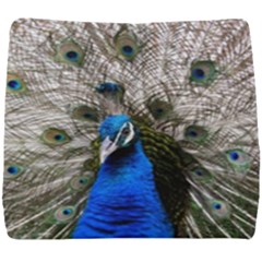 Peacock Bird Animal Feather Nature Colorful Seat Cushion by Ravend