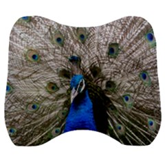 Peacock Bird Animal Feather Nature Colorful Velour Head Support Cushion by Ravend