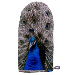 Peacock Bird Animal Feather Nature Colorful Microwave Oven Glove by Ravend