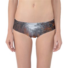 Breathe In Nature Background Classic Bikini Bottoms by artworkshop