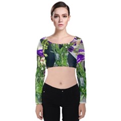 Cute Flower Wallpaper Velvet Long Sleeve Crop Top by artworkshop