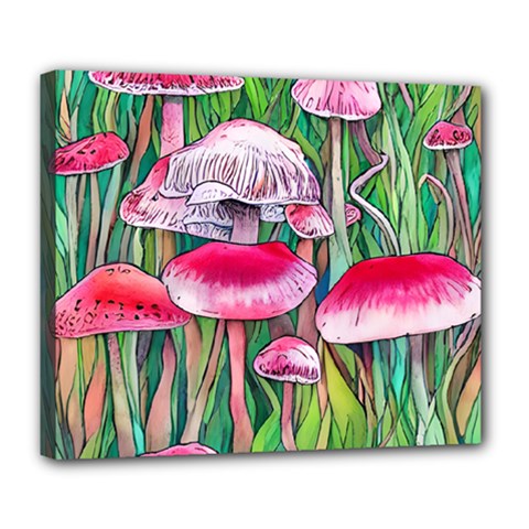 Forest Mushrooms Deluxe Canvas 24  X 20  (stretched)