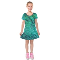 Green And Blue Peafowl Peacock Animal Color Brightly Colored Kids  Short Sleeve Velvet Dress by Semog4