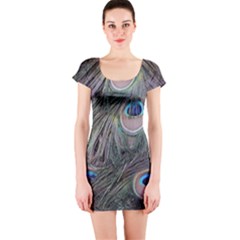 Peacock Feathers Peacock Bird Feathers Short Sleeve Bodycon Dress by Jancukart