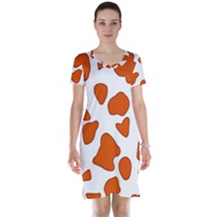 Orange Cow Dots Short Sleeve Nightdress by ConteMonfrey