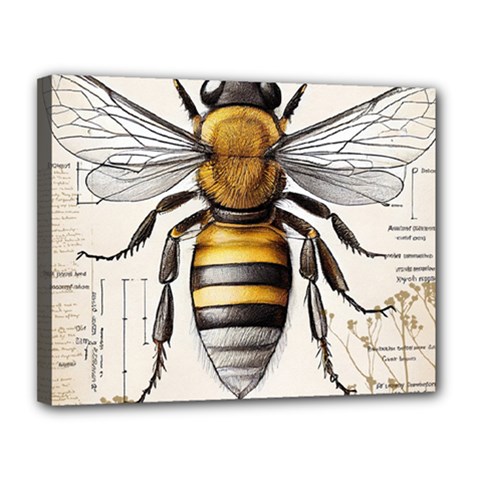 Bee Beekeeping Canvas 14  X 11  (stretched) by Simbadda