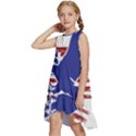 Usa Flag Eagle Symbol American Bald Eagle Country Kids  Frill Swing Dress View2