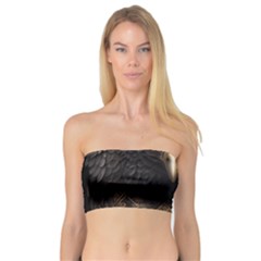 Eagle Ornate Pattern Feather Texture Bandeau Top by Ravend