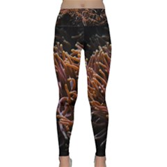 Sea Anemone Coral Underwater Ocean Sea Water Lightweight Velour Classic Yoga Leggings by pakminggu