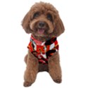 Carlos Sainz Dog Sweater View1