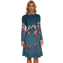 Birds Parrots Love Ornithology Species Fauna Long Sleeve Shirt Collar A-line Dress by Ndabl3x