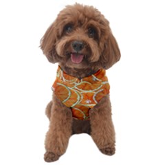 Oranges Background Texture Pattern Dog Sweater by Simbadda