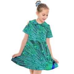 Green And Blue Peafowl Peacock Animal Color Brightly Colored Kids  Short Sleeve Shirt Dress by uniart180623