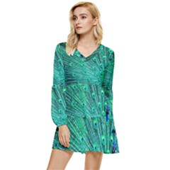 Green And Blue Peafowl Peacock Animal Color Brightly Colored Tiered Long Sleeve Mini Dress by uniart180623