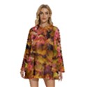 Red and Yellow Ivy  Round Neck Long Sleeve Bohemian Style Chiffon Mini Dress View1