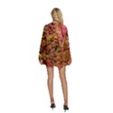 Red and Yellow Ivy  Round Neck Long Sleeve Bohemian Style Chiffon Mini Dress View4