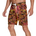 Red and Yellow Ivy  Men s Beach Shorts View2