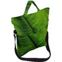 Green-leaf-plant-freshness-color Fold Over Handle Tote Bag View1