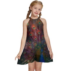 Peacock Feather Bird Kids  Halter Collar Waist Tie Chiffon Dress by Bedest