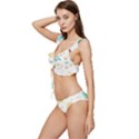 Animals Dinosaurs T-rex Pattern Low Cut Ruffle Edge Bikini Set View2