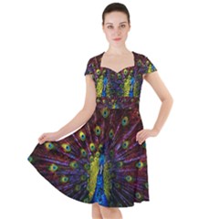 Beautiful Peacock Feather Cap Sleeve Midi Dress by Ket1n9