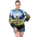 Astronaut High Neck Long Sleeve Chiffon Top View1