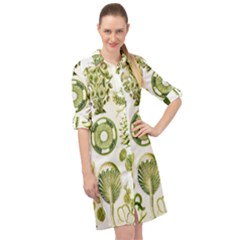 Algae Green Algae Chlorophyceae Long Sleeve Mini Shirt Dress by Pakjumat