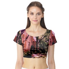 Hot Day In  Dallas-6 Short Sleeve Crop Top by bestdesignintheworld