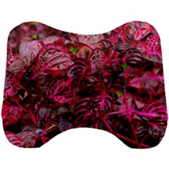 Red Leaves Plant Nature Leaves Head Support Cushion by Sarkoni