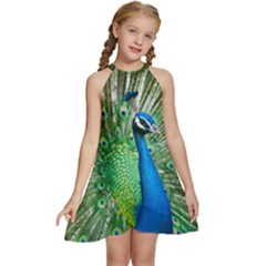 Peafowl Peacock Kids  Halter Collar Waist Tie Chiffon Dress by Sarkoni