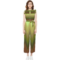Zig Zag Chevron Classic Pattern Women s Frill Top Chiffon Jumpsuit by Apen