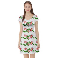 Sweet Christmas Candy Cane Short Sleeve Skater Dress by Modalart