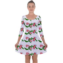 Sweet Christmas Candy Cane Quarter Sleeve Skater Dress by Modalart