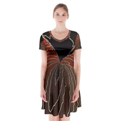 Red Gold Black Voracious Plant Leaf Short Sleeve V-neck Flare Dress by Pakjumat