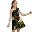 Bright Peppers Kids  One Shoulder Party Dress View2