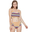 Chevrons Patterns Colorful Stripes Frilly Bikini Set View1