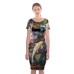 Koi Fish Clown Pool Stone Classic Short Sleeve Midi Dress by Cemarart