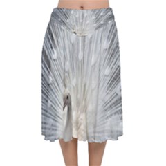 White Feathers, Animal, Bird, Feather, Peacock Velvet Flared Midi Skirt by nateshop