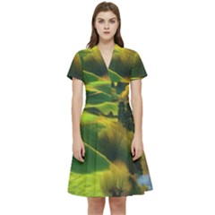 Countryside Landscape Nature Short Sleeve Waist Detail Dress by Cemarart