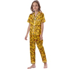 Blooming Flowers Of Lotus Paradise Kids  Satin Short Sleeve Pajamas Set by pepitasart